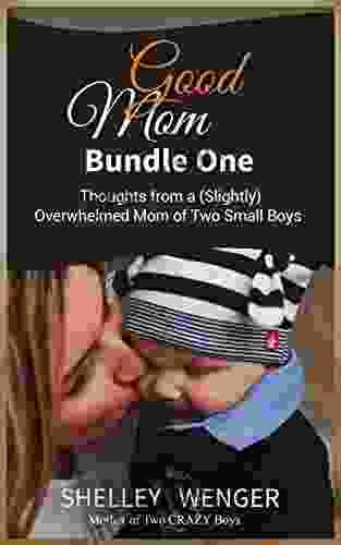 Good Mom Bundle One: Thoughts from a (Slightly) Overwhelmed Mom of Two Small Boys