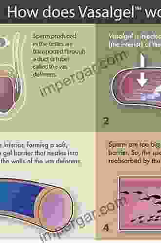 Gossypol: A Potential Contraceptive for Men (Reproductive Biology)