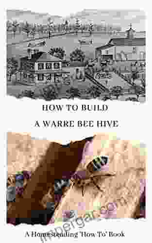 How To Build a Warre Bee Hive: A Homesteading How To