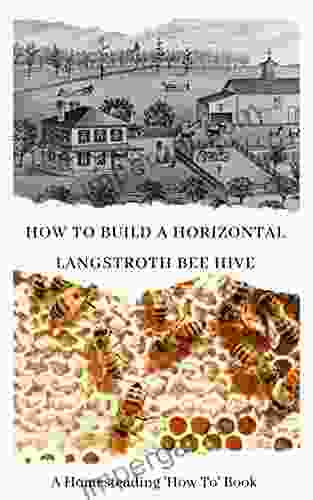 How To Build A Horizontal Langstroth Beehive: A Homesteading How To