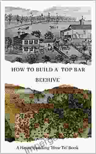 How To Build A Top Bar Beehive: A Homesteading How To