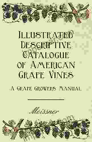 Illustrated Descriptive Catalogue of American Grape Vines A Grape Growers Manual