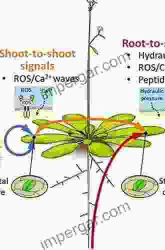 Ion Channels and Plant Stress Responses (Signaling and Communication in Plants)