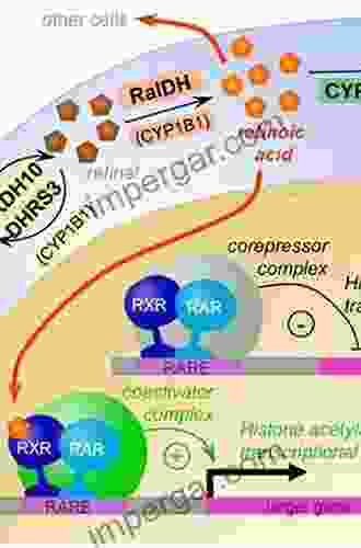 Retinoid Signaling Pathways (ISSN 637)