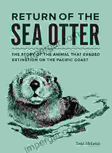 Return Of The Sea Otter: The Story Of The Animal That Evaded Extinction On The Pacific Coast