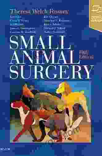 Small Animal Surgery Textbook E