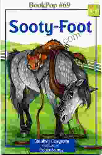 Sooty Foot (Serendipity 69) Stephen Cosgrove