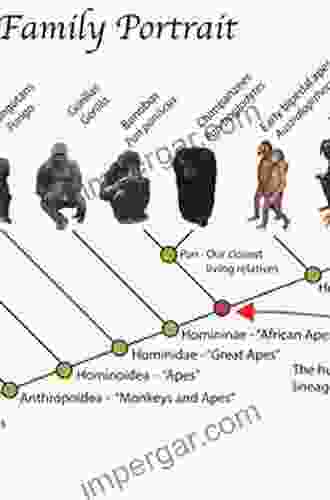 The Evolution of Primate Societies