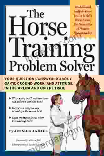 The Horse Training Problem Solver: Your Questions Answered About Gaits Ground Work And Attitude In The Arena And On The Trail