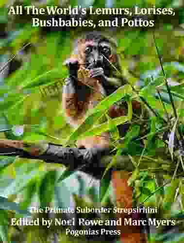 All The World s Lemurs Lorises Bushbabies and Pottos: The Primate Suborder Strepsirhini (All the World s Primates Ebook Series)