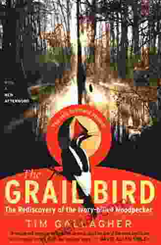 The Grail Bird: The Rediscovery of the Ivory billed Woodpecker