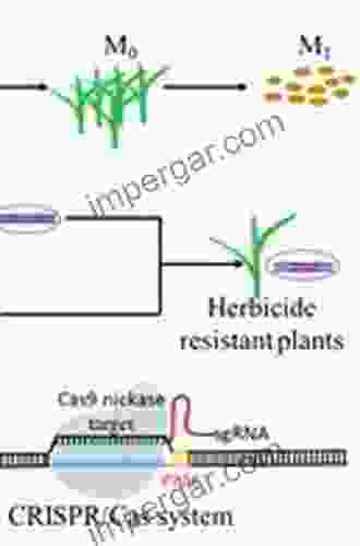 Transgenic Herbicide Resistance in Plants