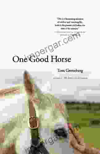 One Good Horse Tom Groneberg