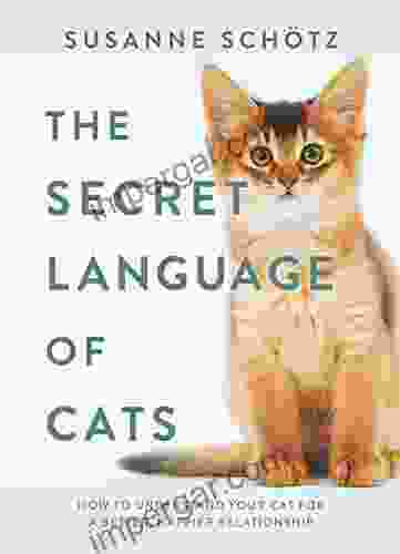 The Secret Language Of Cats: How To Understand Your Cat For A Better Happier Relationship