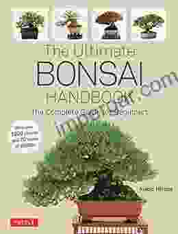 The Ultimate Bonsai Handbook: The Complete Guide for Beginners