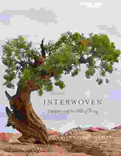 Interwoven: Junipers And The Web Of Being