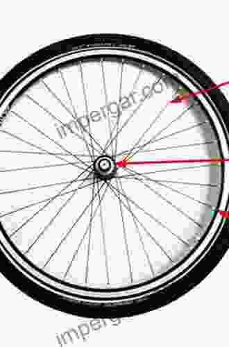 Cultural Complexes in China Japan Korea and Taiwan: Spokes of the Wheel