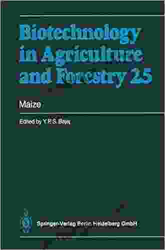 Maize (Biotechnology in Agriculture and Forestry 25)